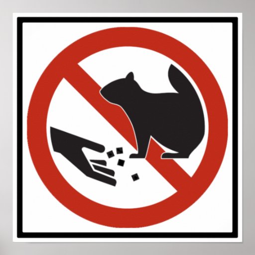 Do Not Feed the Squirrels Highway Sign Poster Zazzle
