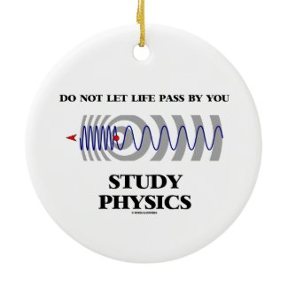 Do Not Let Life Pass By You Study Physics Christmas Ornament