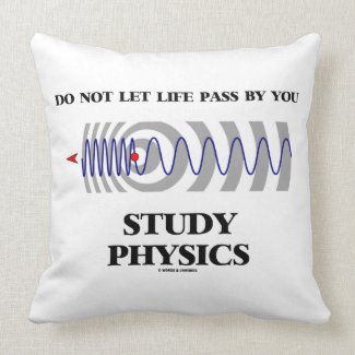 Do Not Let Life Pass By You Study Physics Pillow