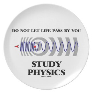 Do Not Let Life Pass By You Study Physics Party Plates