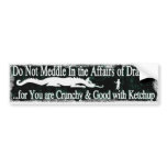 Do Not Meddle in the Affairs of Dragons Bumper Sticker