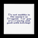 Do not meddle in the affairs of Dragons. Magnet