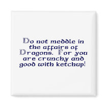 Do not meddle in the affairs of Dragons. Magnet