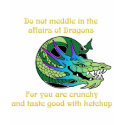 Do Not Meddle in the Affairs of Dragons t-shirts by aesthete Do Not Meddle in the Affairs of Dragons t-shirts