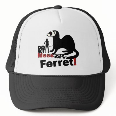 Do Not Mess With My Ferret Mesh Hat by T_shirt_Shack