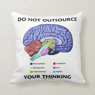 Do Not Outsource Your Thinking (Brain Anatomy) Throw Pillows