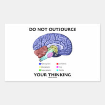 Do Not Outsource Your Thinking (Brain Anatomy) Rectangle Stickers