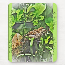 Do Not Worry with Sparrow Mousepad mousepads