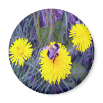 Do The Hop Button magnets by CreatureCreations Do The Hop Button magnets