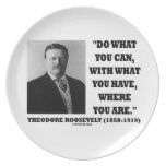 Do What You Can With What You Have Where You Are Dinner Plates