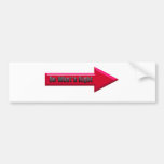 Do What's Right Bumper Sticker