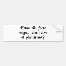 Do you by chance happen to own a large,....... bumper sticker