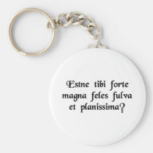Do you by chance happen to own a large,....... key chains