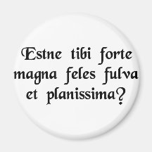 Do you by chance happen to own a large,....... fridge magnet