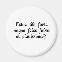 Do you by chance happen to own a large,....... fridge magnet