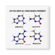 Do You Have All Your Bases Covered? (DNA Bases) Magnets