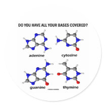 Do You Have All Your Bases Covered? (DNA Bases) Round Stickers