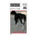 Do you have any talent postage by wolfmountainstudio Do you have any talent postage