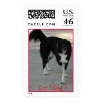 Do you have any talent postage by wolfmountainstudio Do you have any talent postage