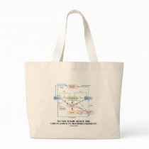 Do You Know About Circulation In Macroeconomics? Bags