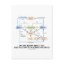 Do You Know About Circulation In Macroeconomics? Postcards