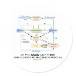 Do You Know About Circulation In Macroeconomics? Stickers