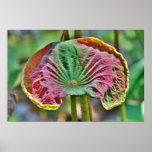Do you know Me Poster