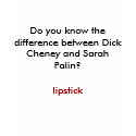 Do you know the difference between Dick Cheney ... t-shirts by VIKINGJIM Do you know the difference between Dick Cheney ... t-shirts