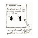 Do you know who has a prostate? print
