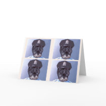 Do You Know Why I Pulled you over ? cards