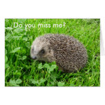 "Do you miss me?" Greeting Card