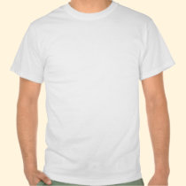 Do You Really Want to Talk About 'WTF Moments'? t-shirts