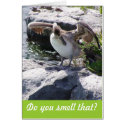 Do you smell that? cards