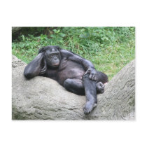 Do you think I'm sexy? postcards