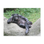 Do you think I'm sexy? postcards