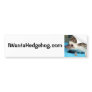 Do You Want a Hedgehog? Bumper Stickers