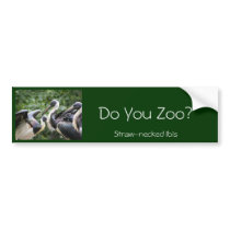 Do You Zoo? Straw-necked Ibis Bumper Sticker