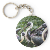 Do You Zoo? Straw-necked Ibis Keychain