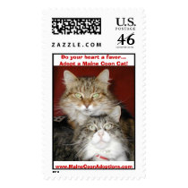 Do your heart a favor...Adopt a Maine Coon Cat!... postage by MaineCoonAdoptions Do your heart a favor...Adopt a Maine Coon Cat!... postage