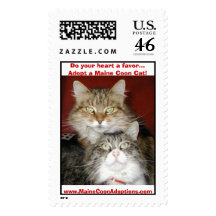 Do your heart a favor...Adopt a Maine Coon Cat!... Stamp