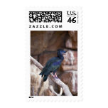 Dobbibis Postage Stamp