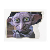 Dobby 1 post card