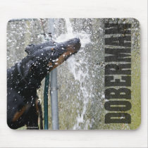 Doberman at the Fountain mousepads
