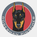 Doberman Badge, Black with Red Sticker