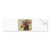 Doberman bumper stickers by TraffordPhotos Doberman bumper stickers