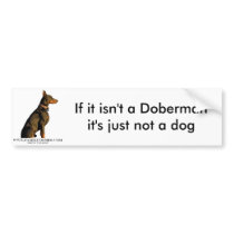 doberman bumper sticker bumper stickers