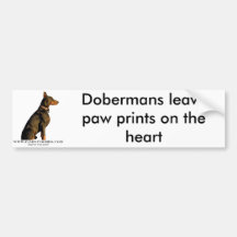 doberman bumper sticker