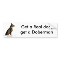 doberman bumper sticker bumper stickers