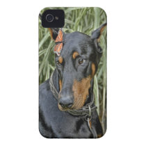 Doberman Butterfly Surprise