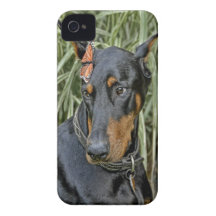 Doberman Butterfly Surprise iPhone 4 Covers
